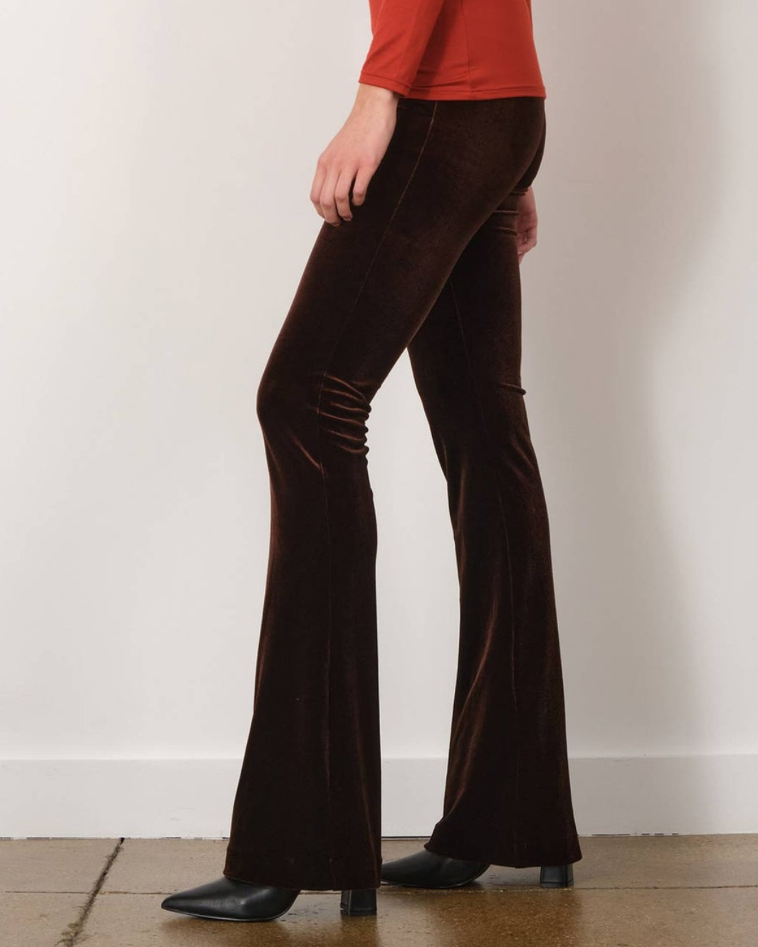 BELLINI VELVET PANT IN BROWN