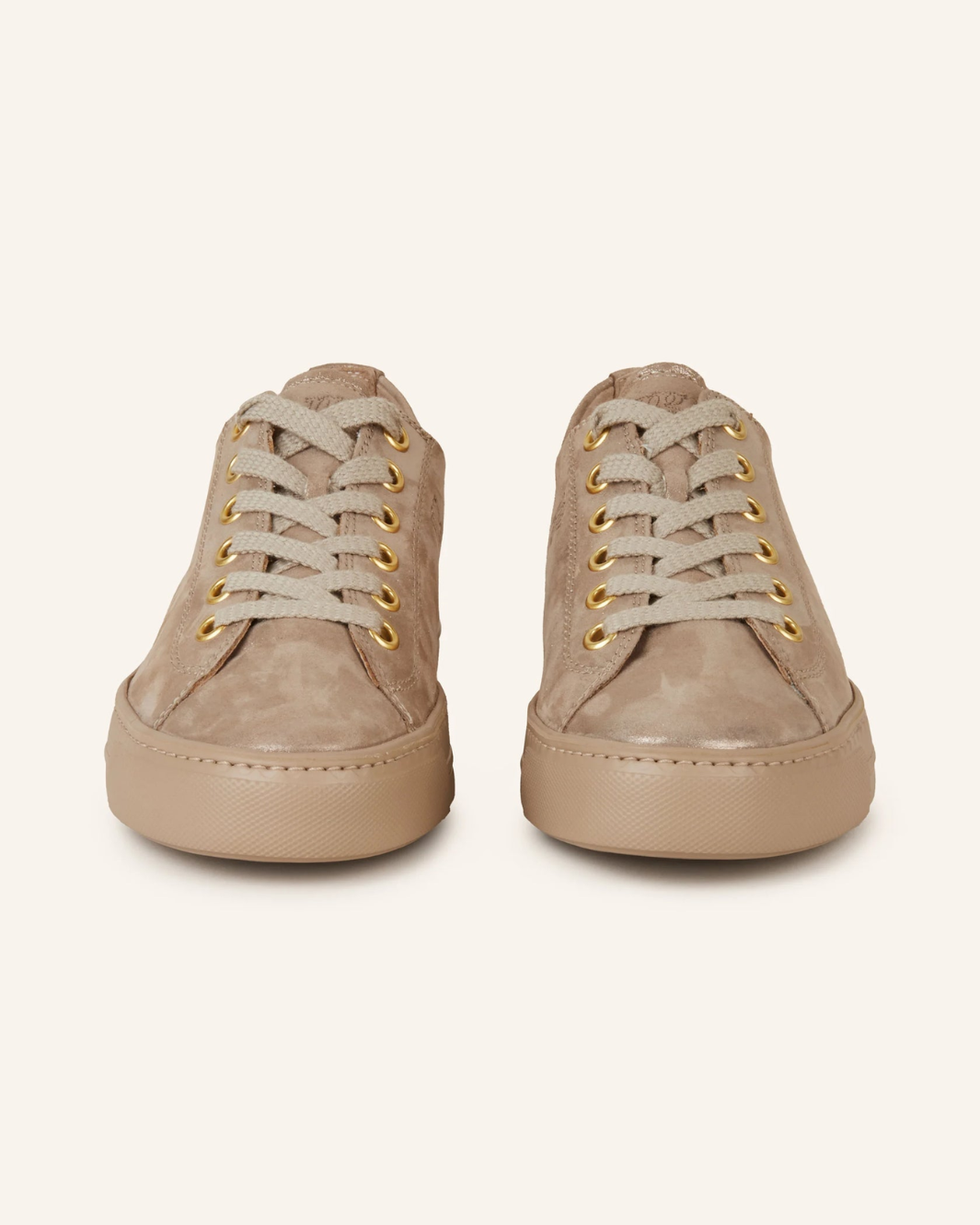 HADLEY SNEAKER IN CHAMPAGNE GLOSSY ANTIC