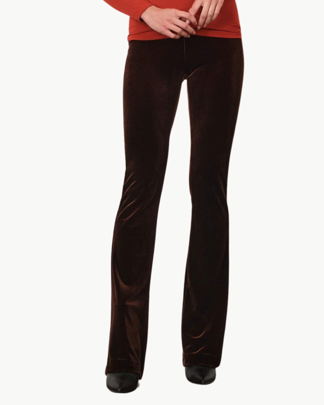 BELLINI VELVET PANT IN BROWN